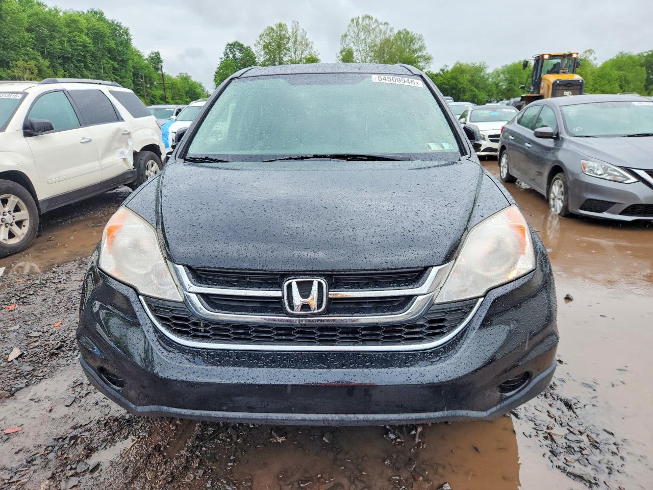 2011 Honda Cr-v Exl Black vin: JHLRE4H75BC006219