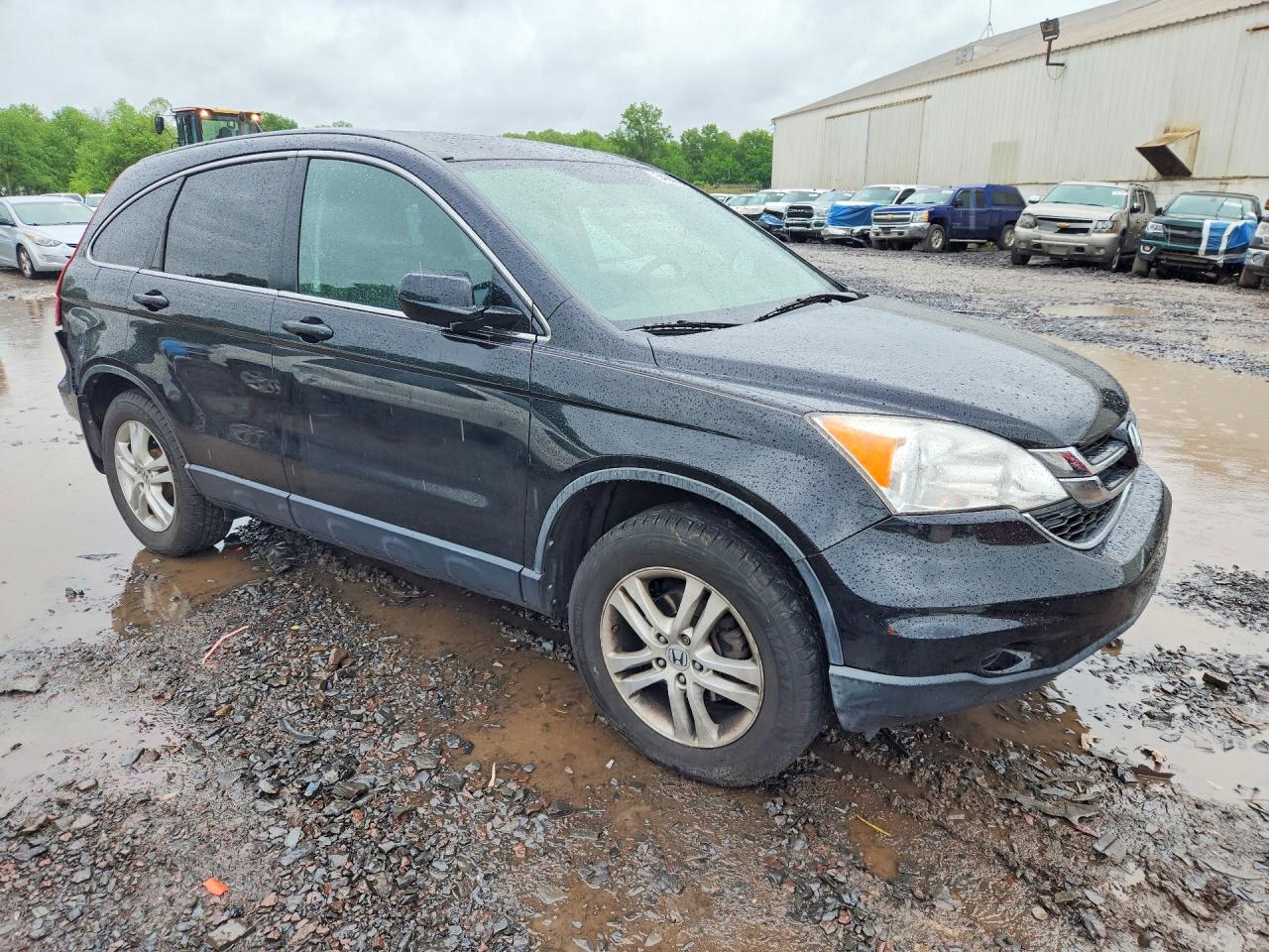 2011 Honda Cr-v Exl Black vin: JHLRE4H75BC006219