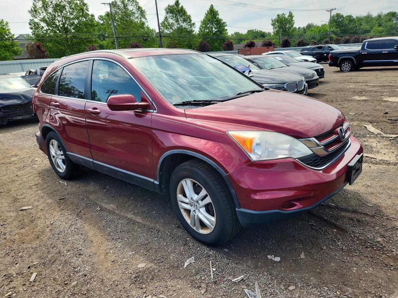 2011 Honda Cr-v Exl Burgundy vin: JHLRE4H77BC001975
