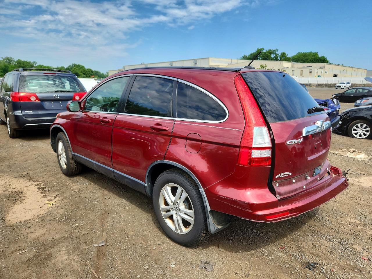 2011 Honda Cr-v Exl Burgundy vin: JHLRE4H77BC001975