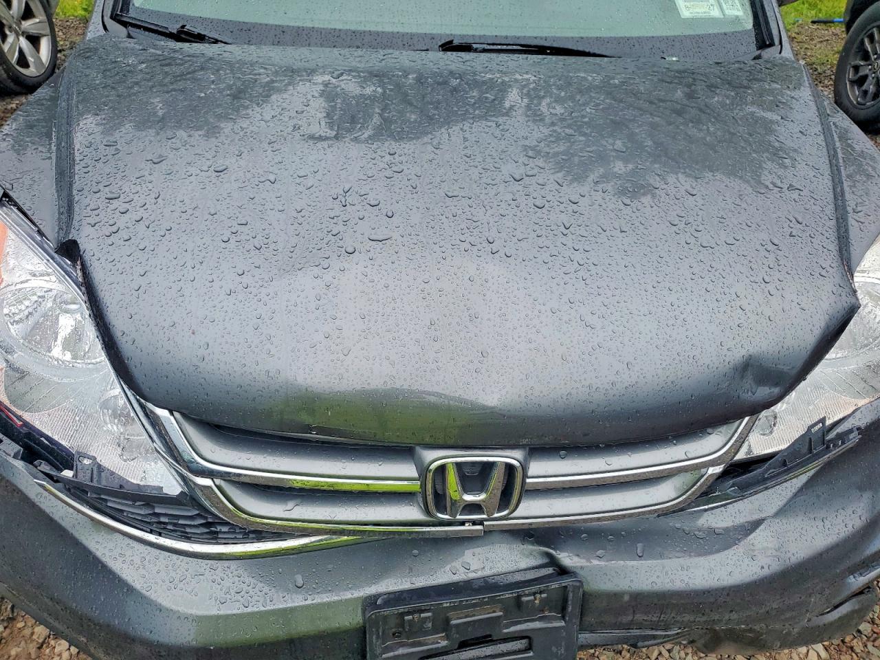 2010 Honda Cr-v Exl Gray vin: JHLRE4H78AC011719
