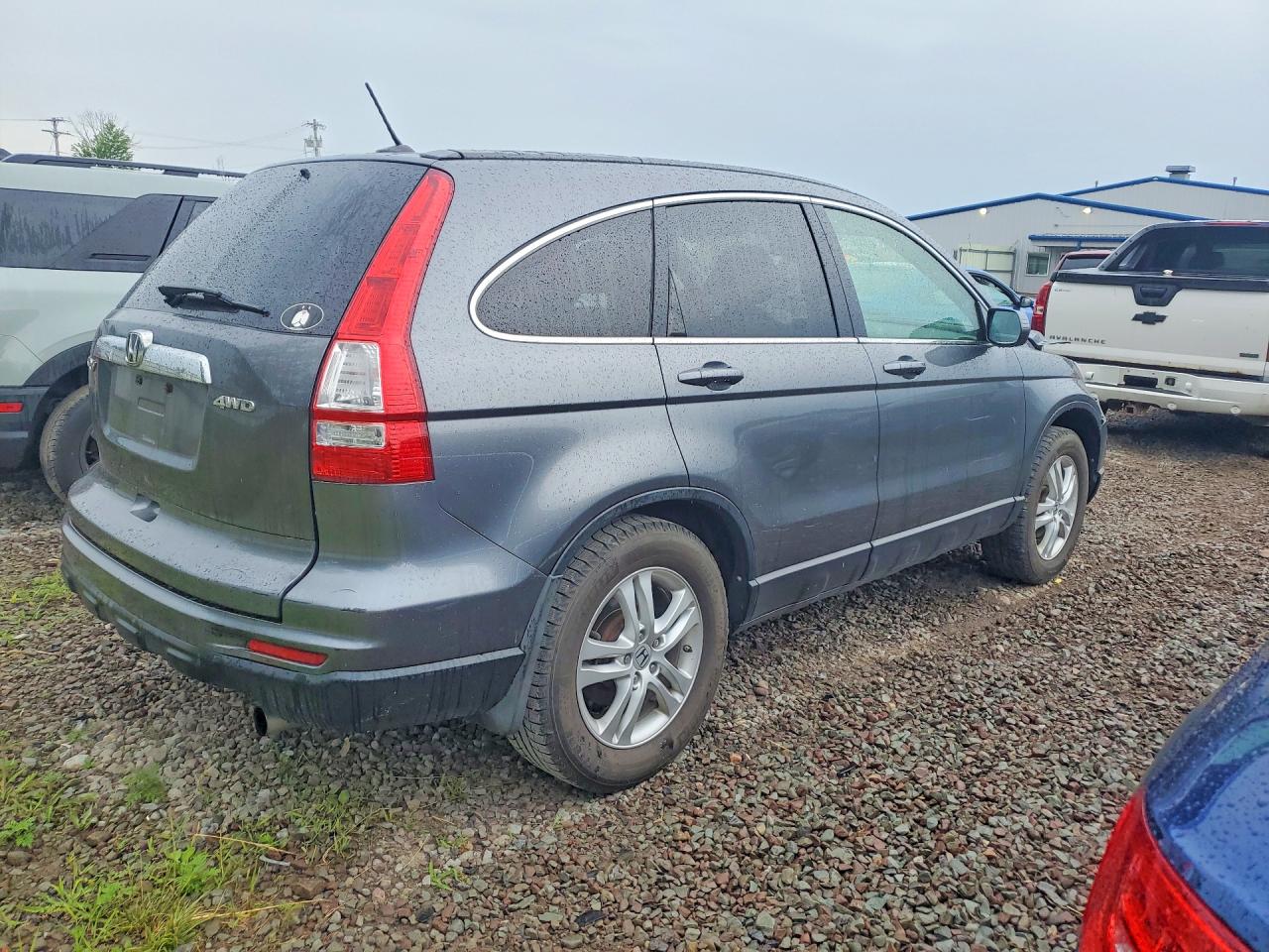 2010 Honda Cr-v Exl Gray vin: JHLRE4H78AC011719