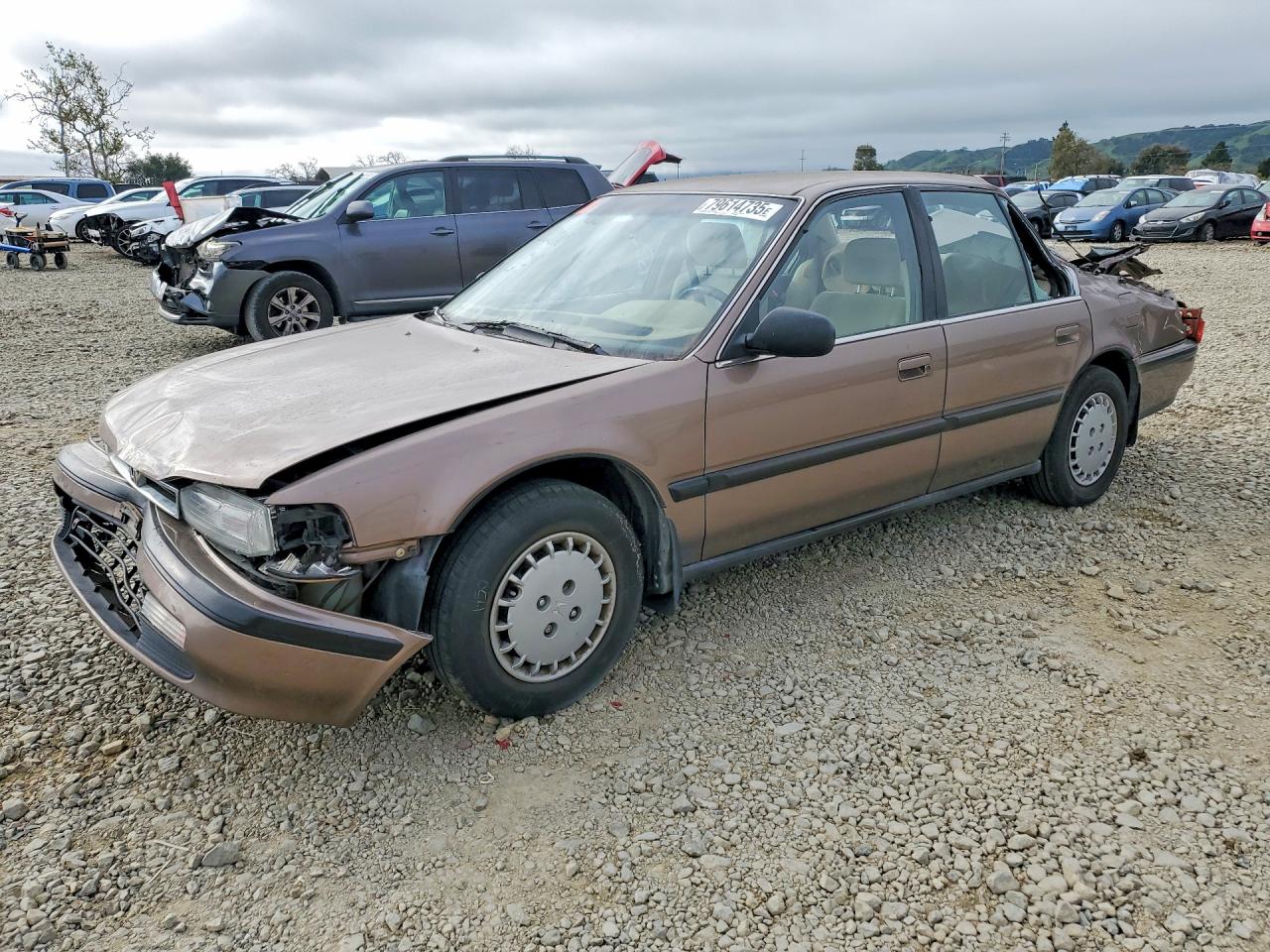 1990 Honda Accord Lx Tan vin: JHMCB7654LC084859