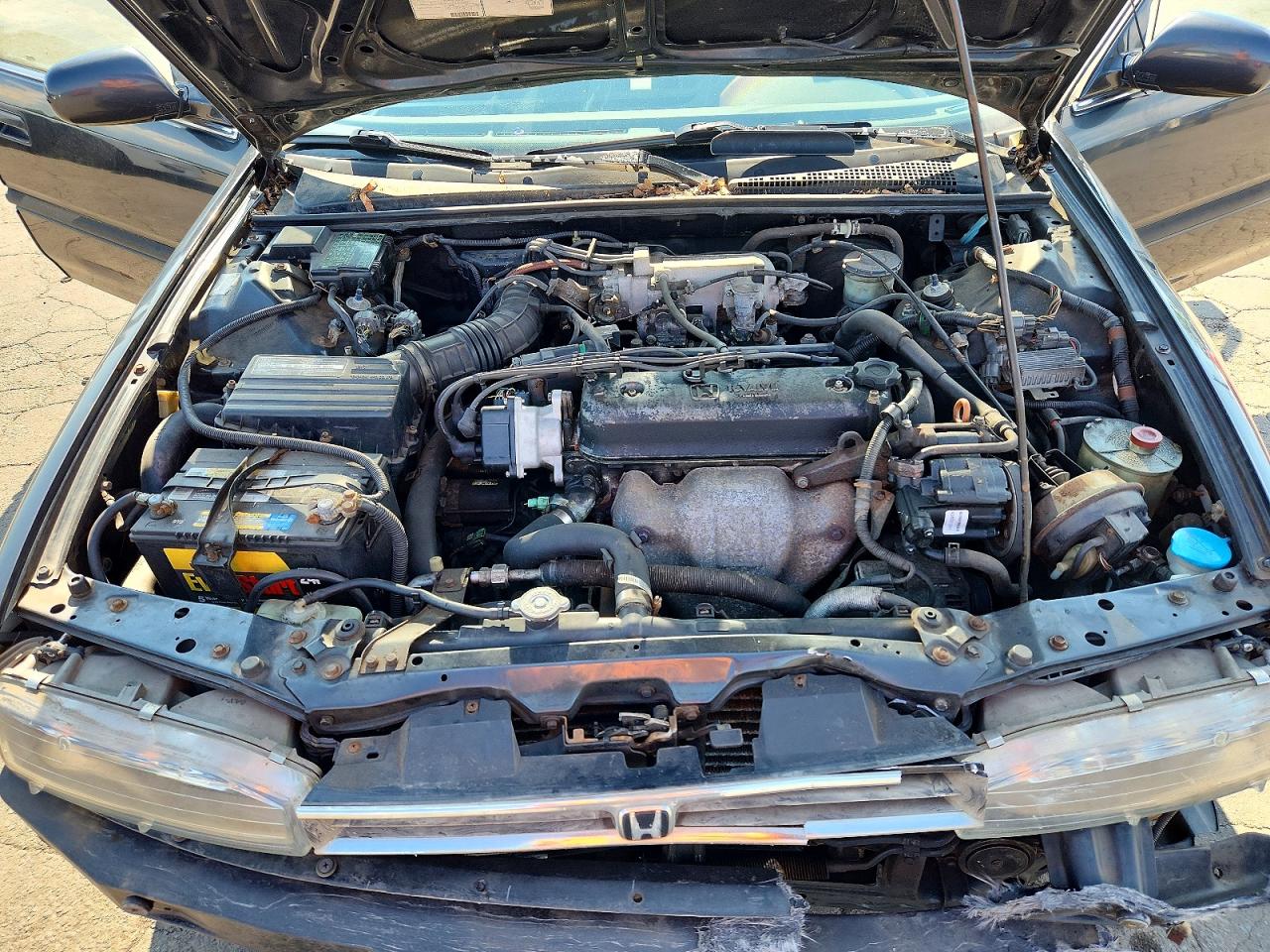 1993 Honda Accord Lx Black vin: JHMCB7655PC016883
