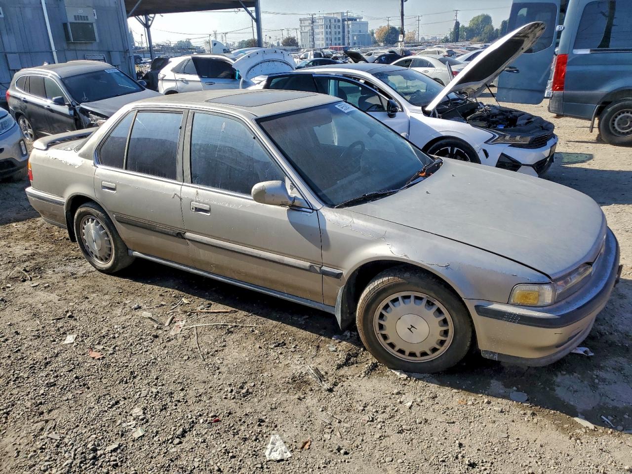 1991 Honda Accord Tan vin: JHMCB7660MC097523