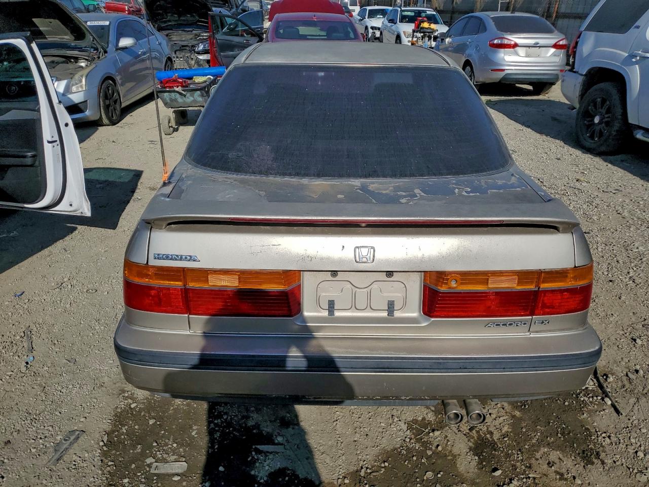 1991 Honda Accord Tan vin: JHMCB7660MC097523