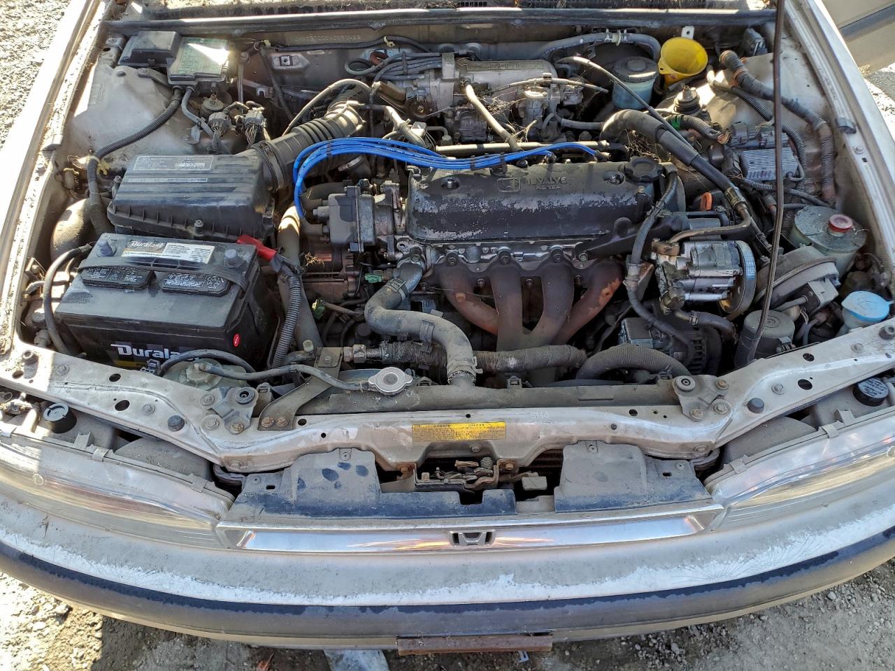 1991 Honda Accord Tan vin: JHMCB7660MC097523