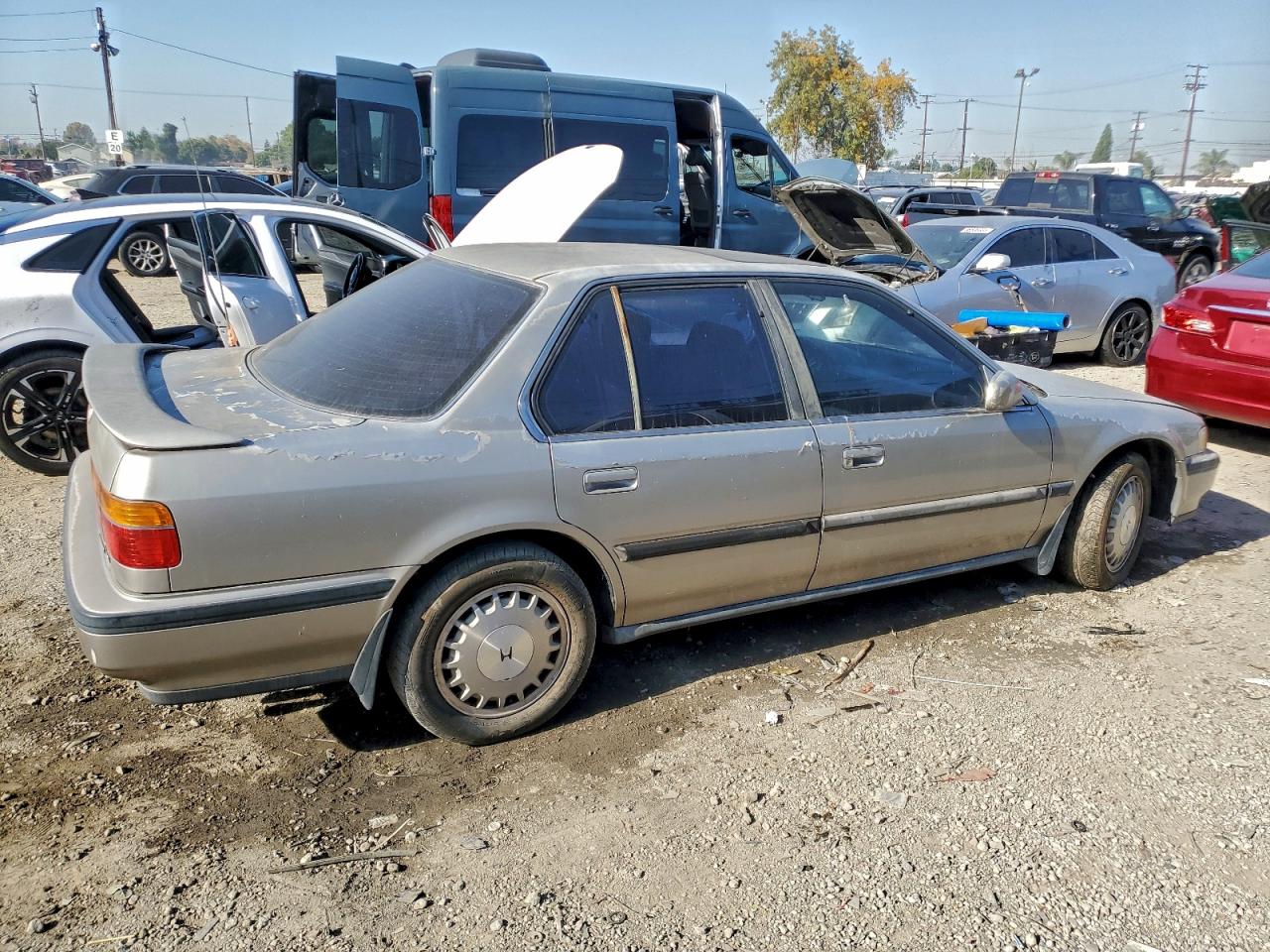 1991 Honda Accord Tan vin: JHMCB7660MC097523