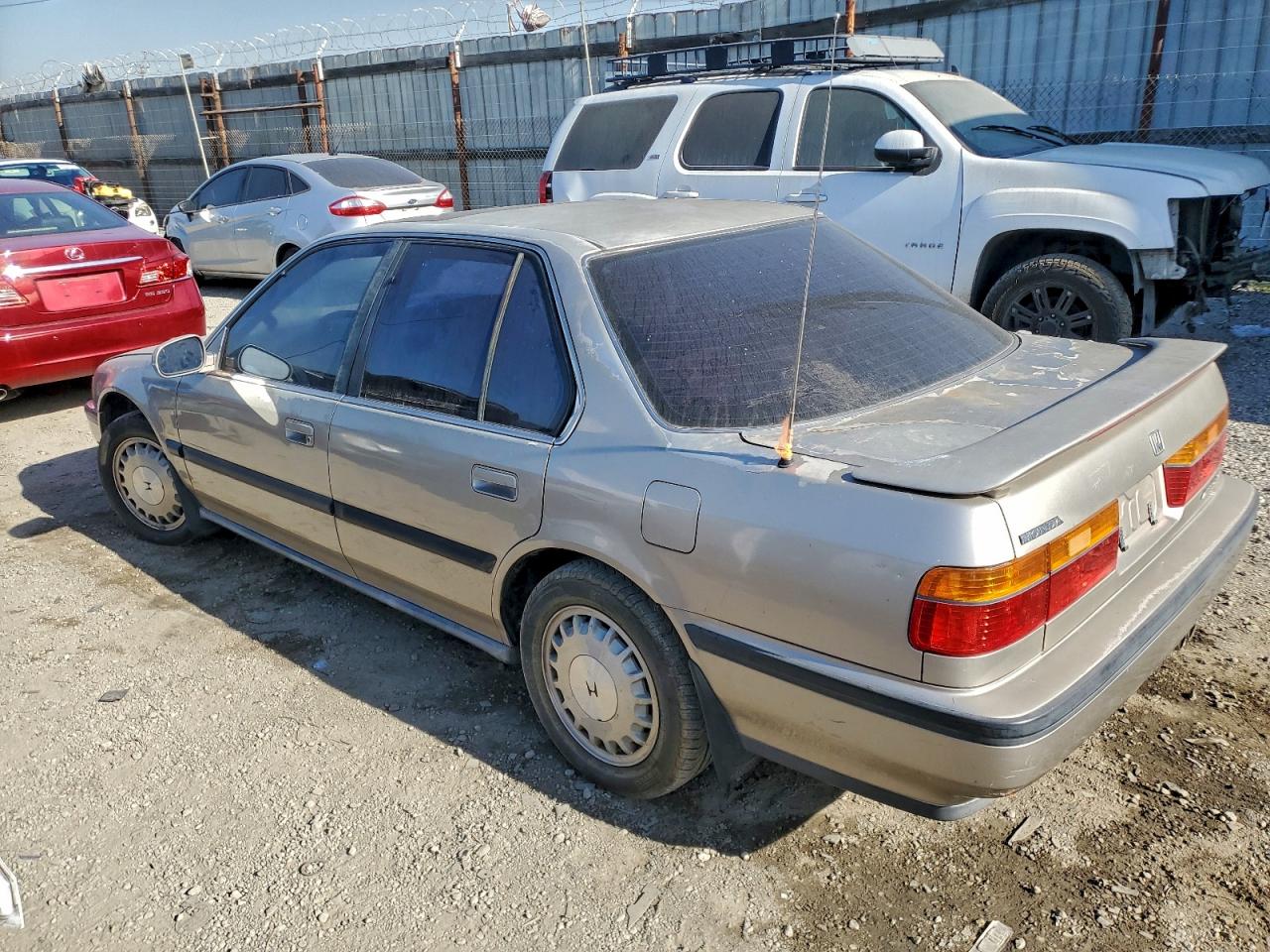 1991 Honda Accord Tan vin: JHMCB7660MC097523