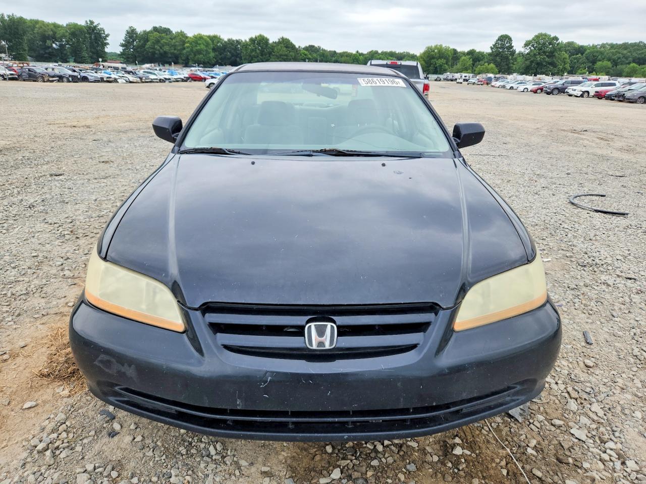 2001 Honda Accord Lx Black vin: JHMCG56421C000063