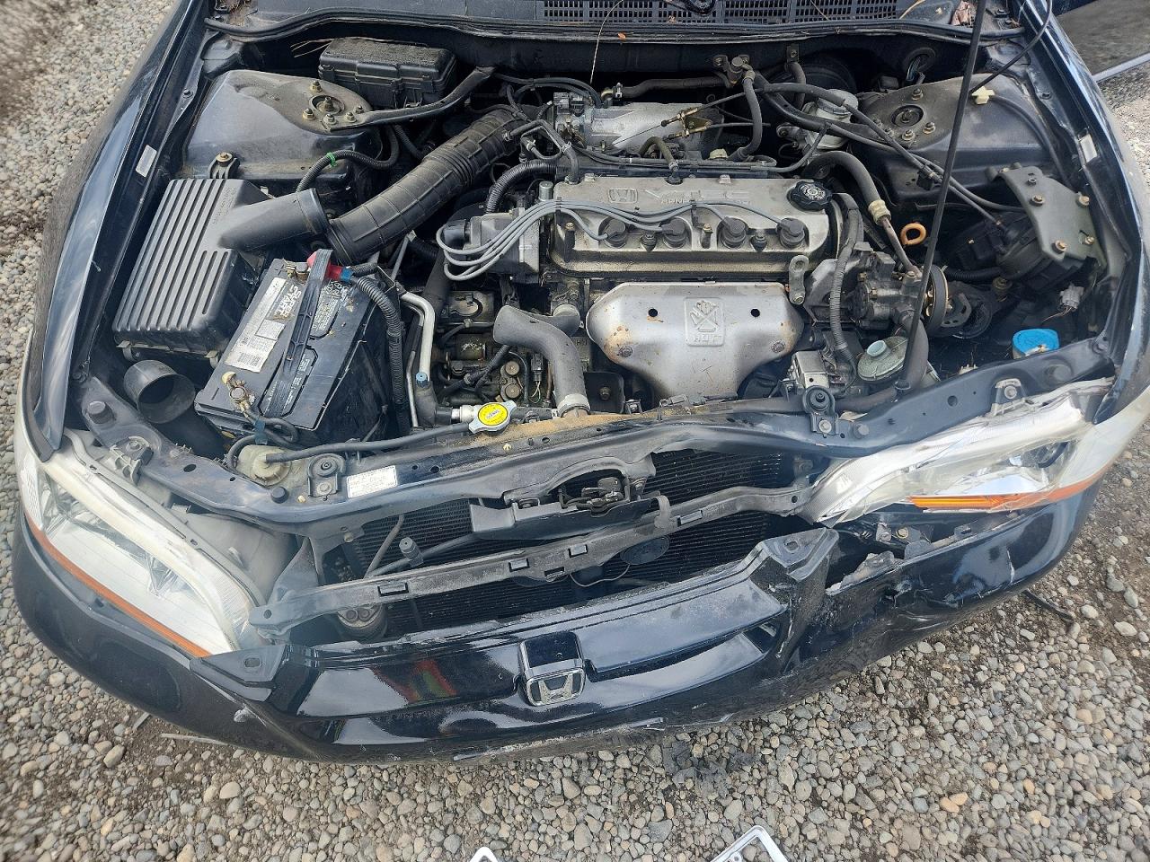 2000 Honda Accord Lx Black vin: JHMCG5642YC028150