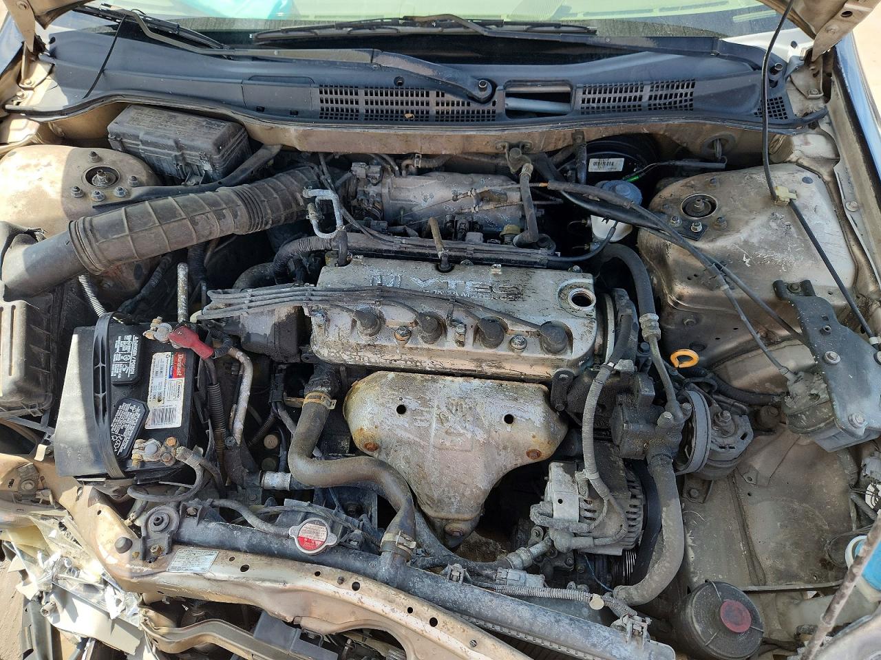 2000 Honda Accord Lx Black vin: JHMCG5645YC035884