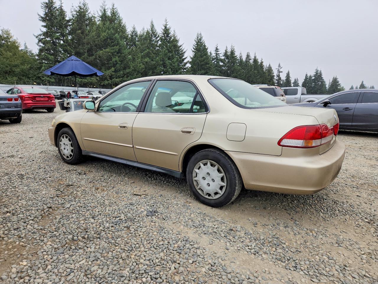 2001 Honda Accord Lx Beige vin: JHMCG56461C005167