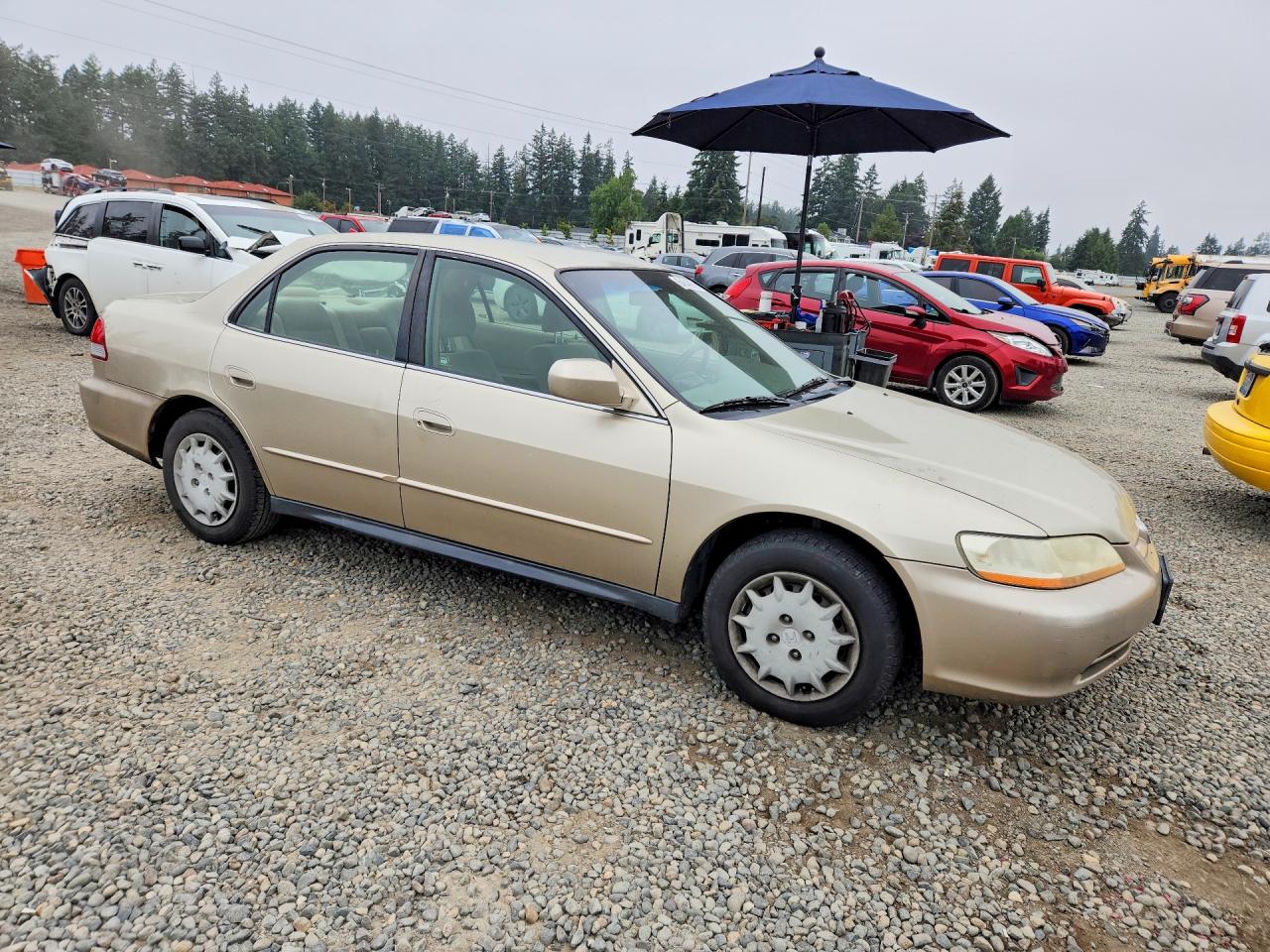 2001 Honda Accord Lx Beige vin: JHMCG56461C005167