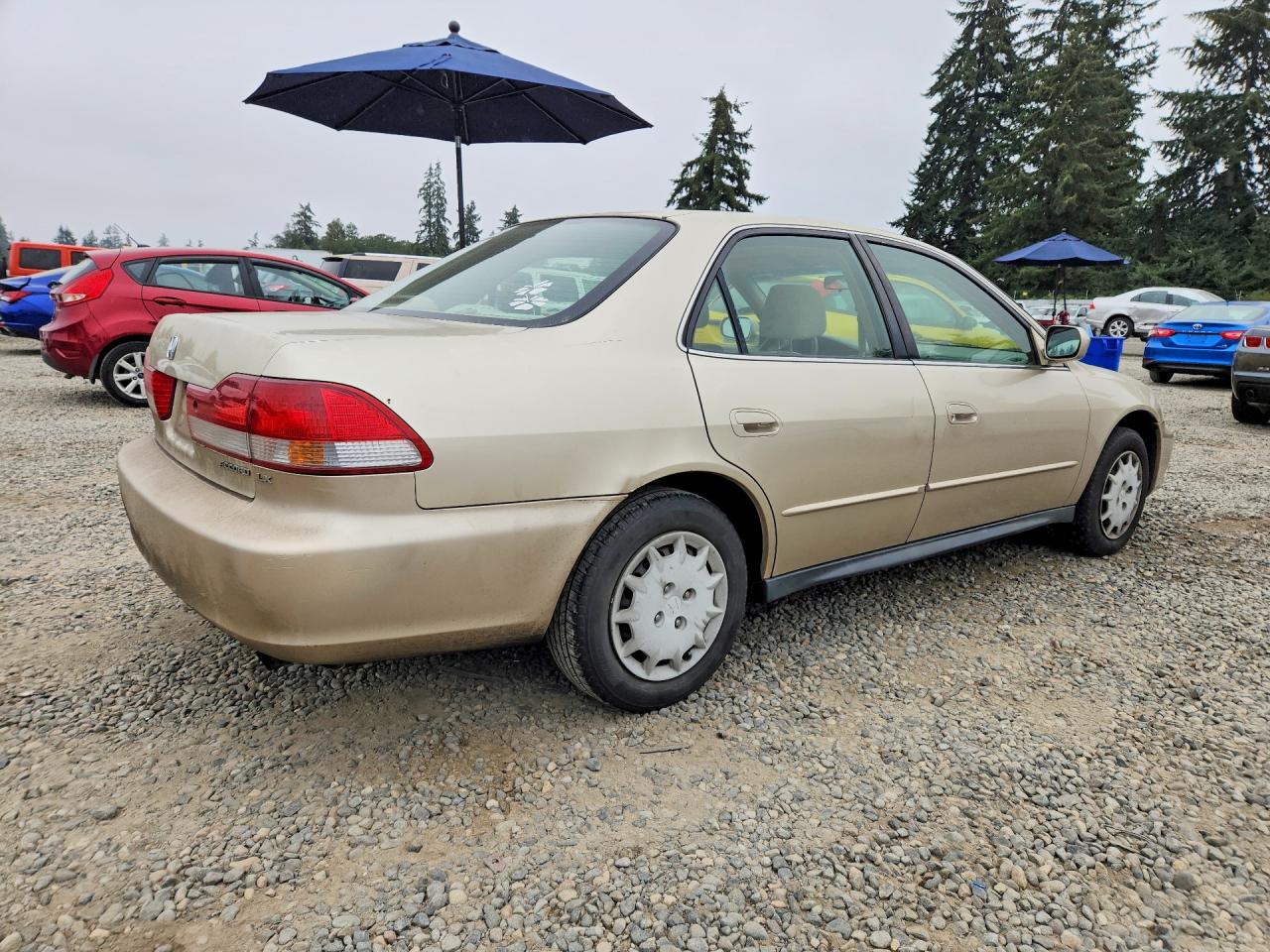 2001 Honda Accord Lx Beige vin: JHMCG56461C005167