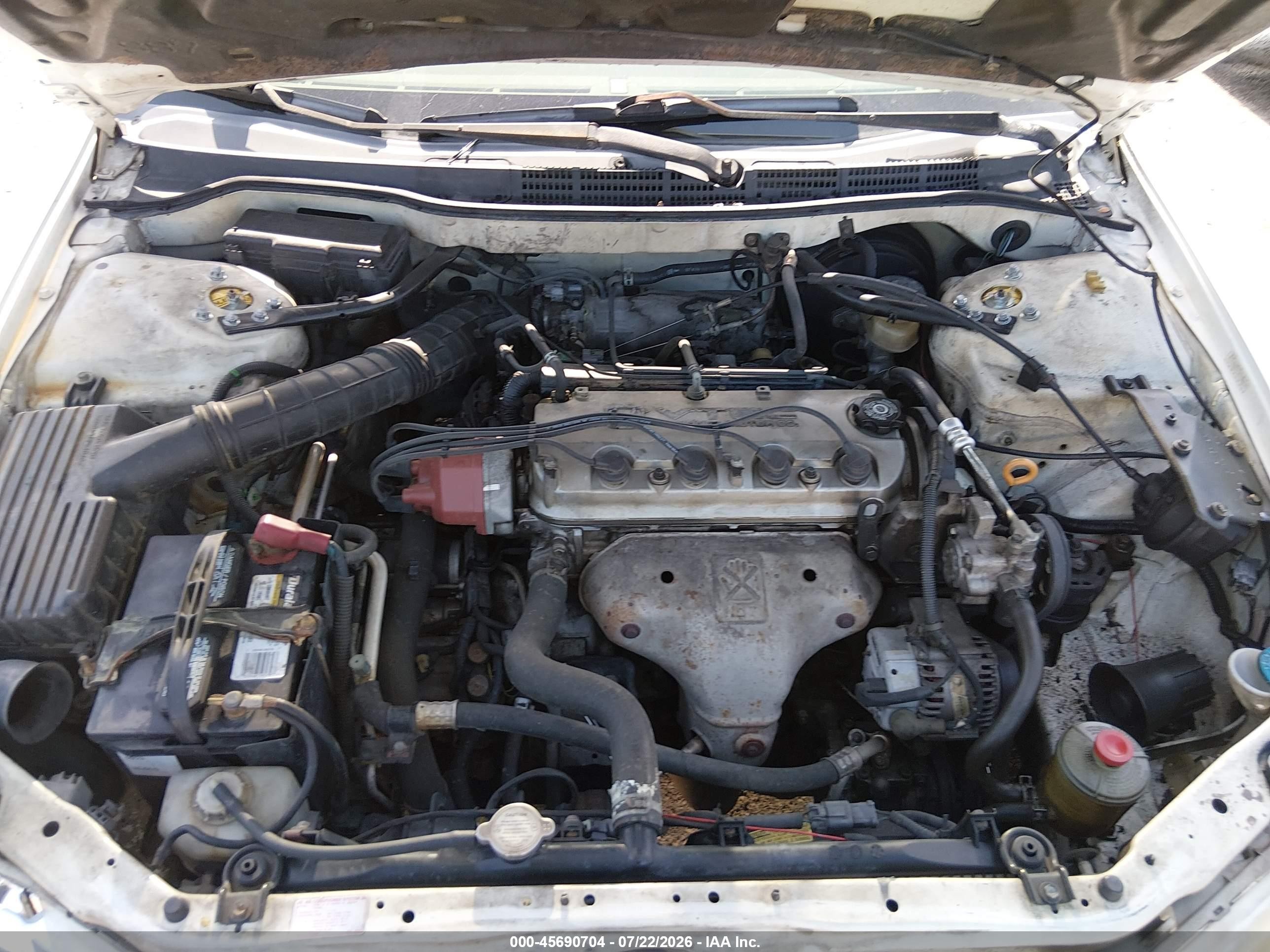 1999 Honda Accord Lx White vin: JHMCG5646XC007512