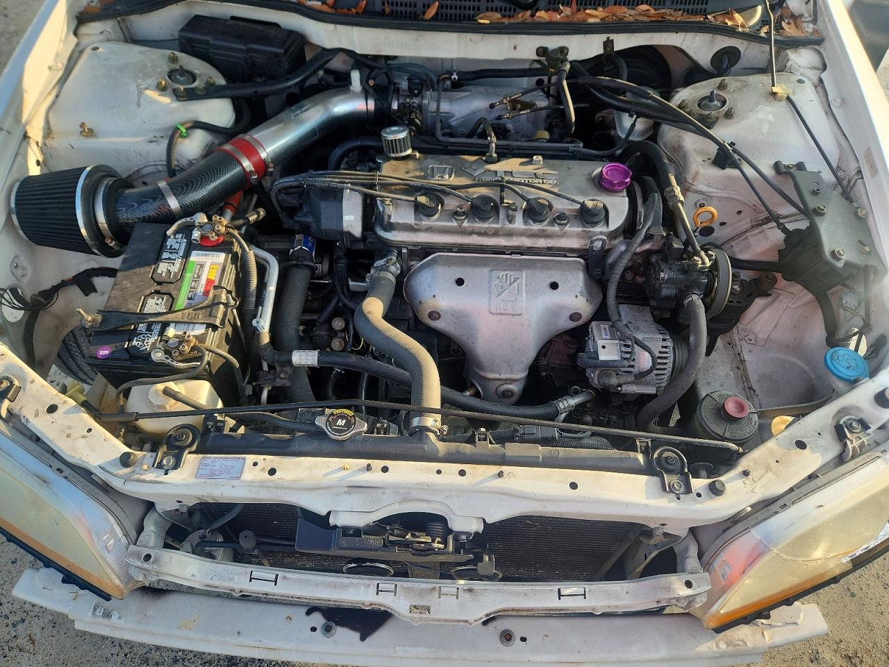 1999 Honda Accord Lx White vin: JHMCG5648XC004174