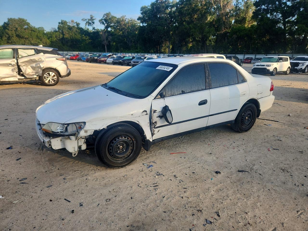 1999 Honda Accord Lx White vin: JHMCG5648XC004174