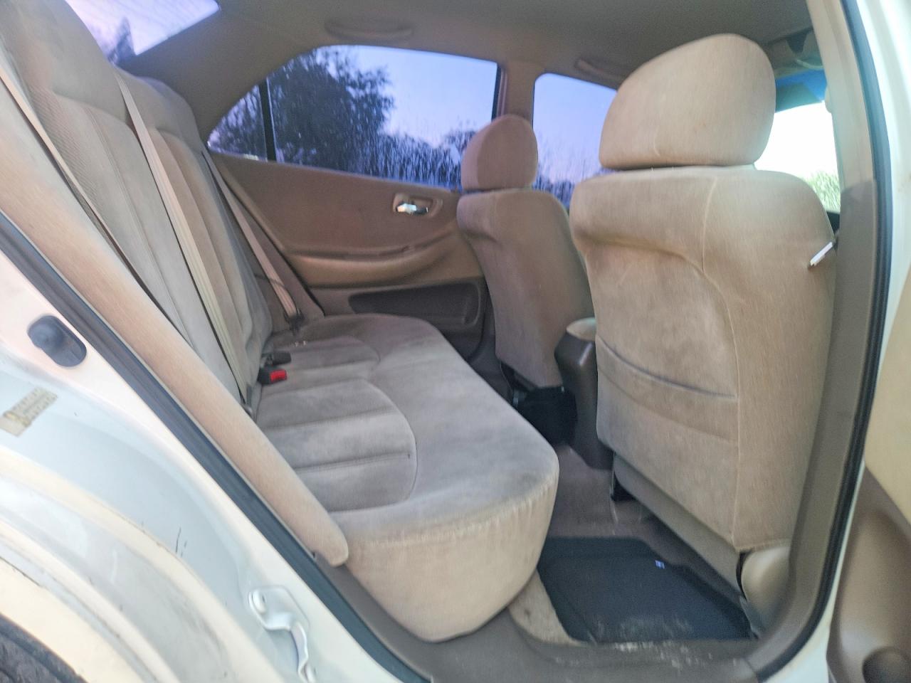 1999 Honda Accord Lx White vin: JHMCG5648XC004174