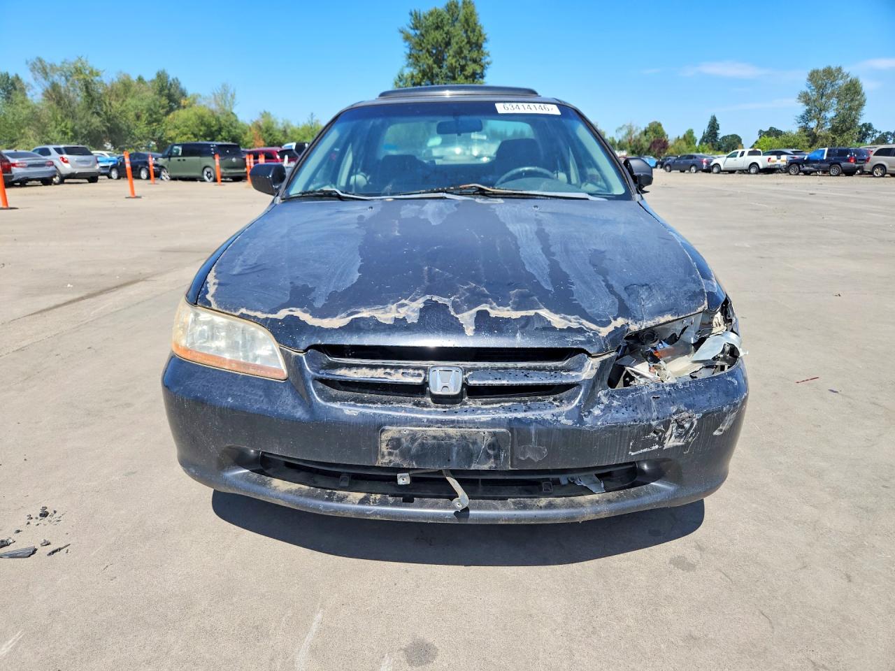 1999 Honda Accord Ex Black vin: JHMCG5654XC026374