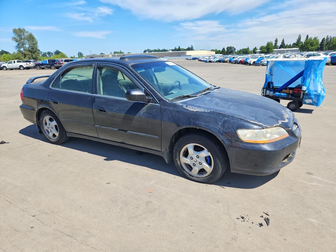 1999 Honda Accord Ex Black vin: JHMCG5654XC026374