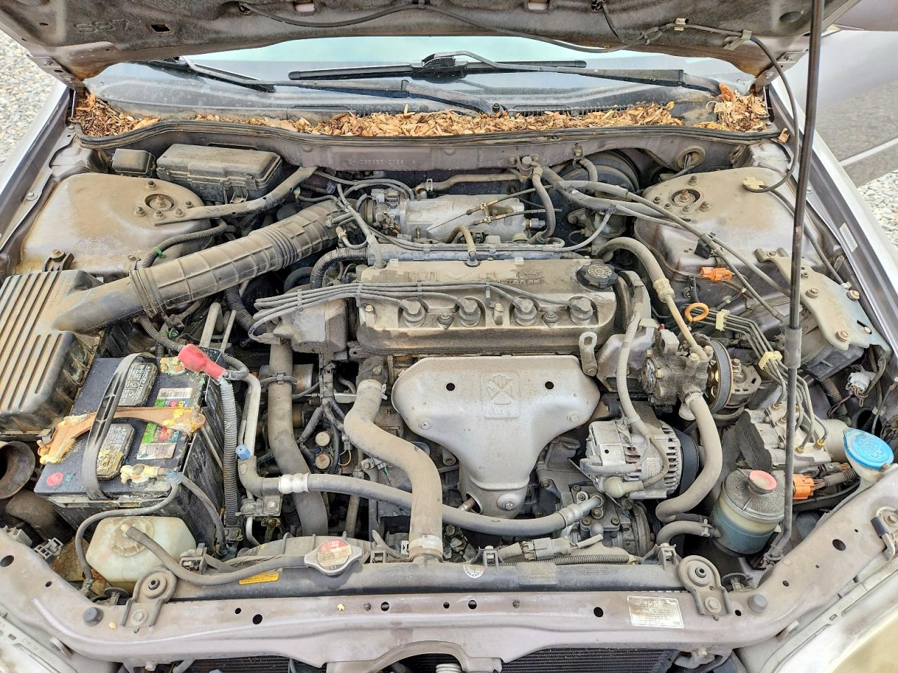 2000 Honda Accord Ex Gray vin: JHMCG5655YC028118
