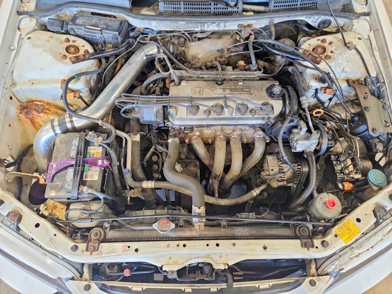 1999 Honda Accord Ex White vin: JHMCG5658XC031657