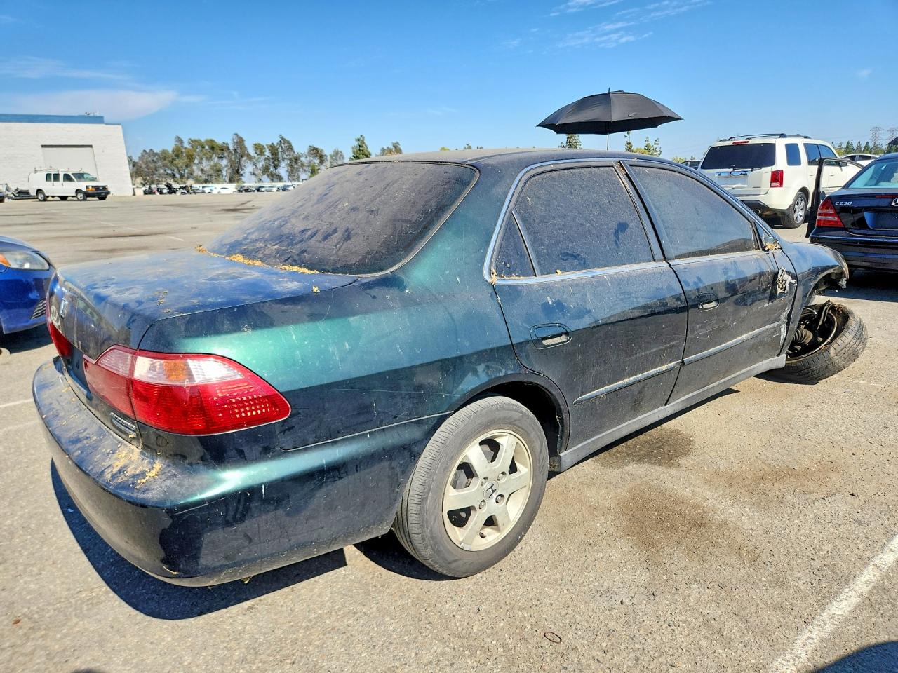 2000 Honda Accord Se Green vin: JHMCG5672YC013996