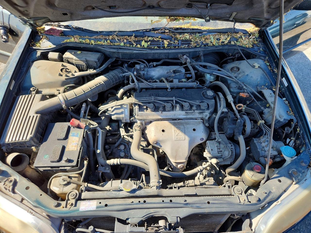 2000 Honda Accord Se Green vin: JHMCG5672YC013996