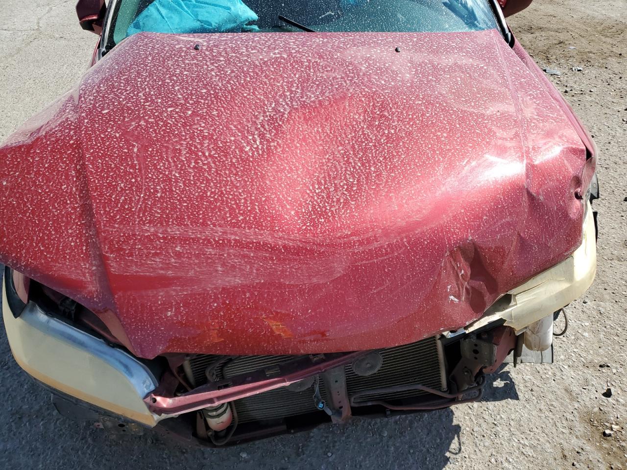 2002 Honda Accord Se Red vin: JHMCG56772C008462