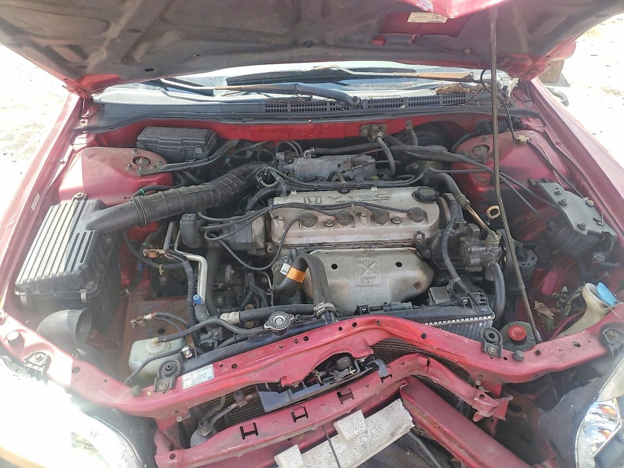 2002 Honda Accord Se Burgundy vin: JHMCG567X2C021125
