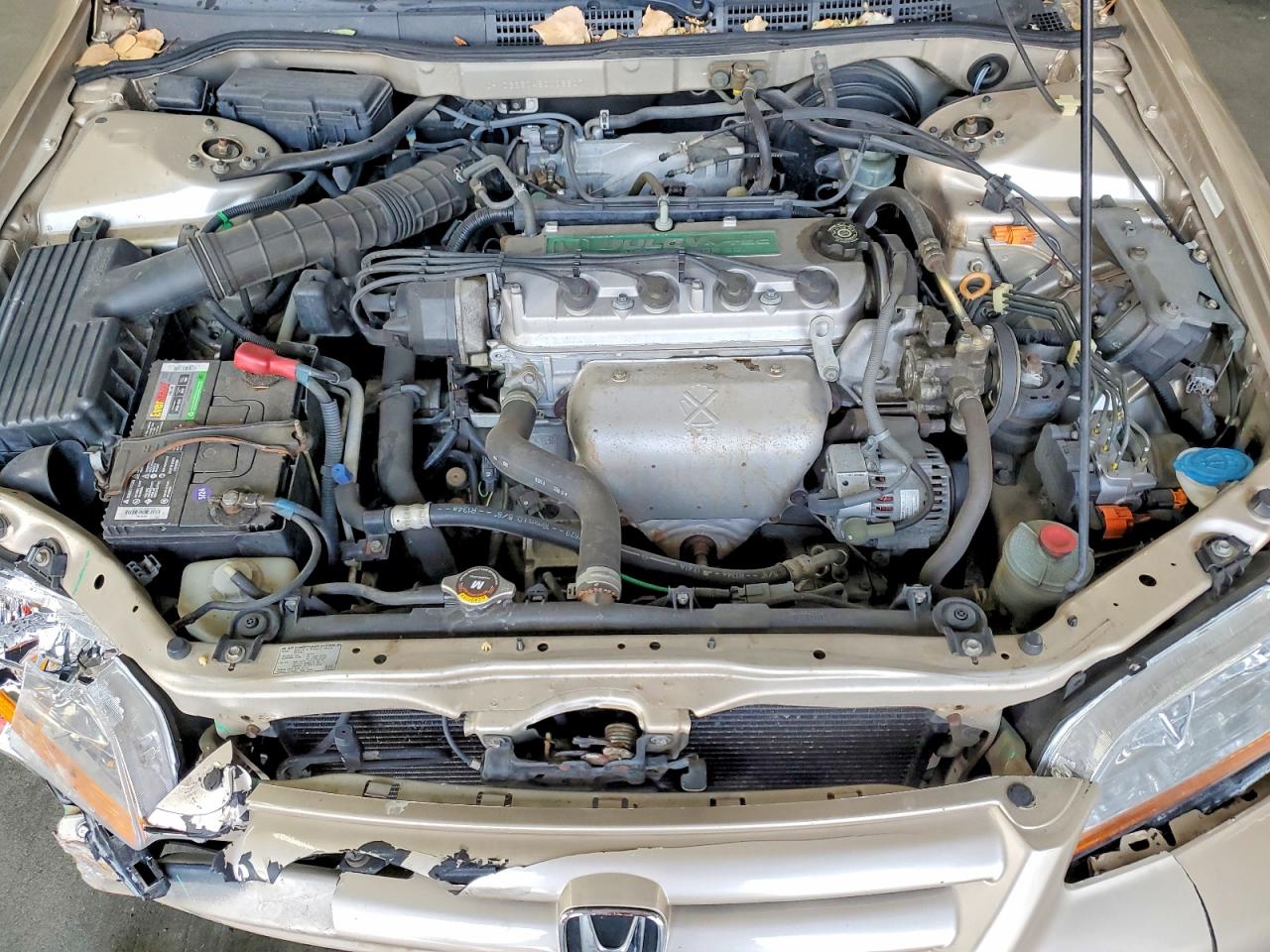 2002 Honda Accord Ex Tan vin: JHMCG66042C006807