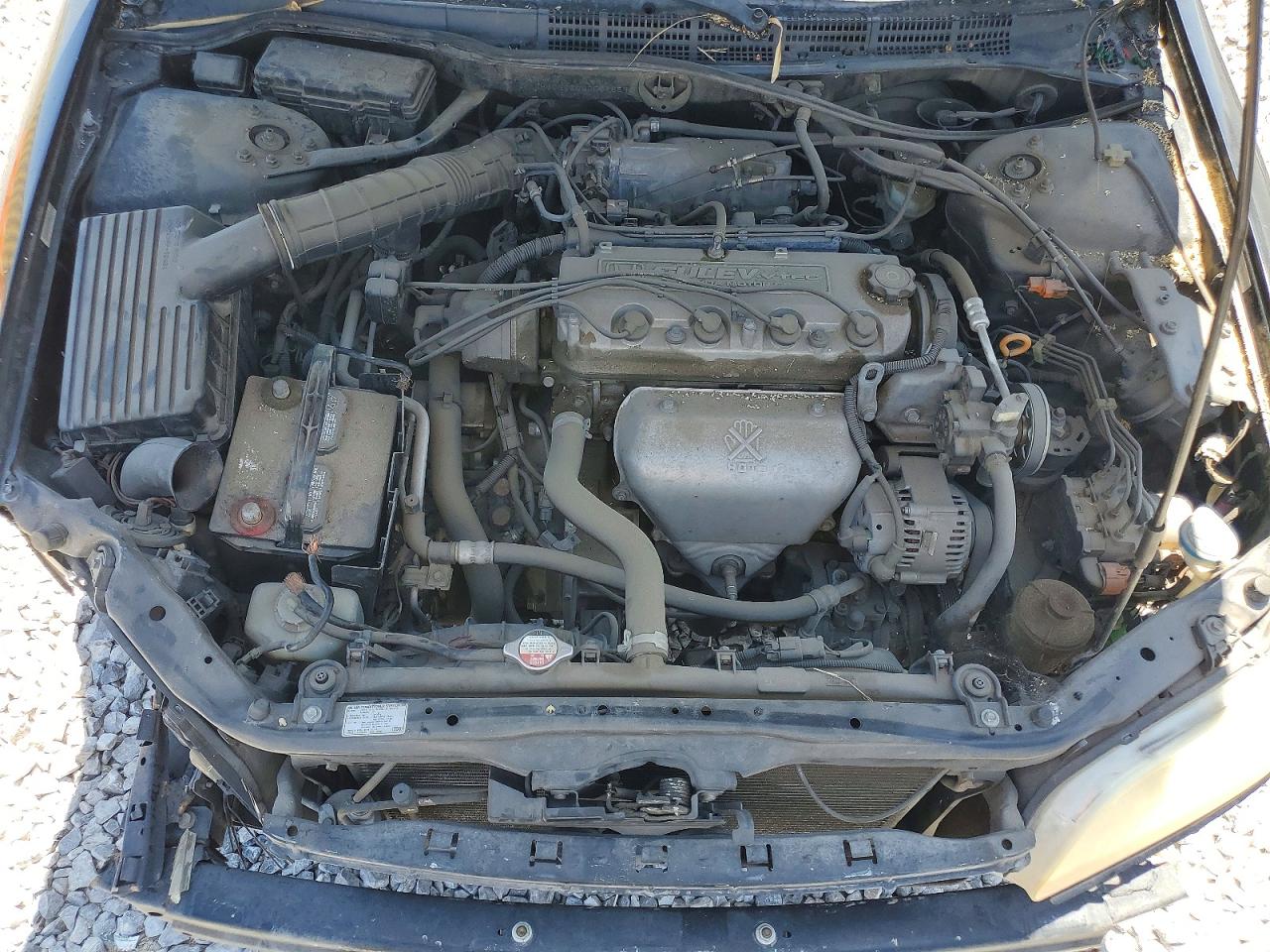 2002 Honda Accord Ex Black vin: JHMCG66042C016592
