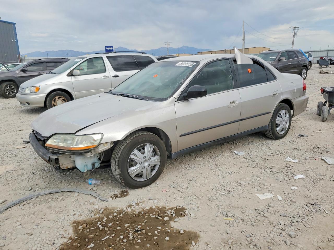 1999 Honda Accord Lx Tan vin: JHMCG6657XC028254