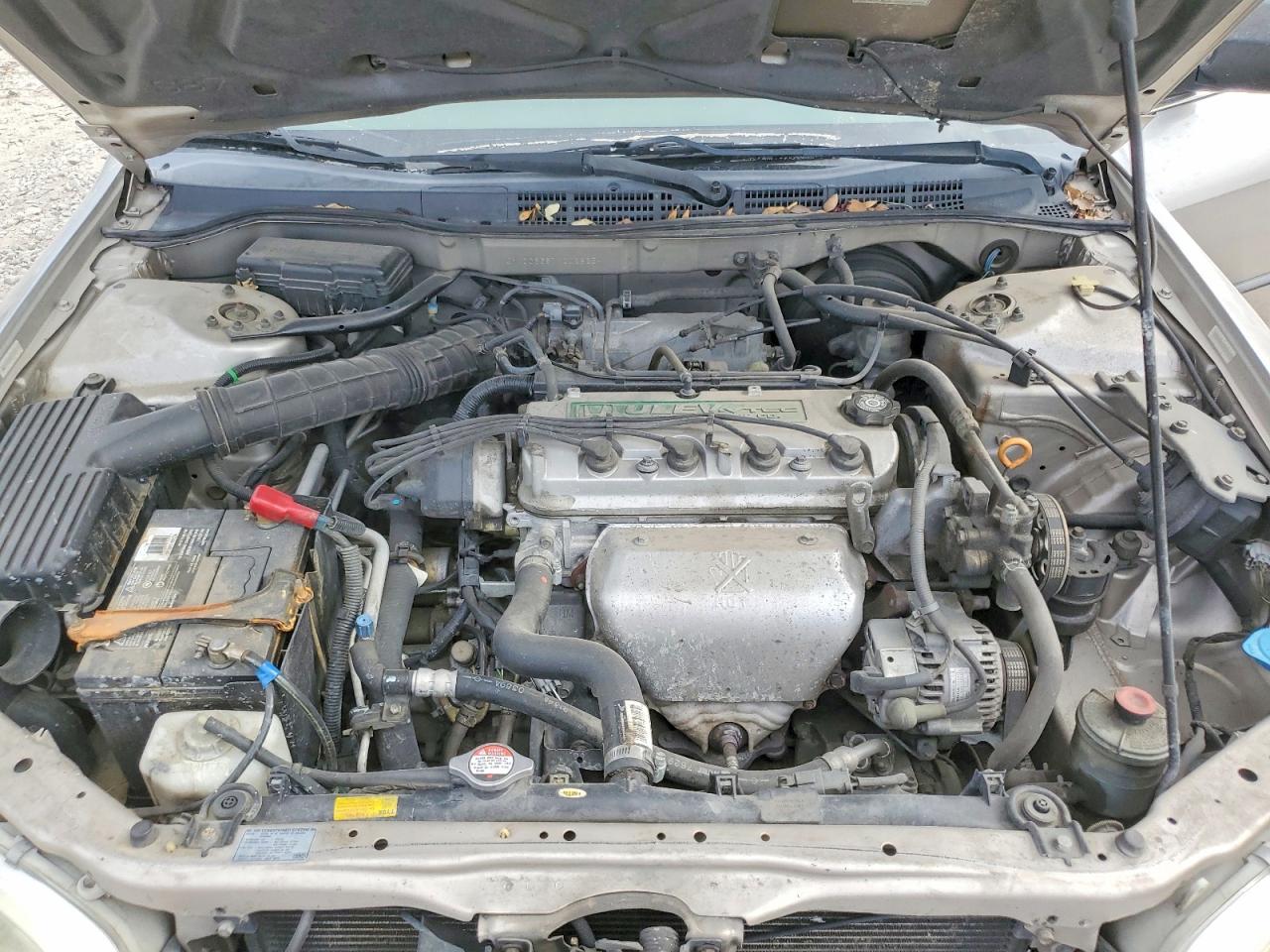 1999 Honda Accord Lx Tan vin: JHMCG6657XC028254