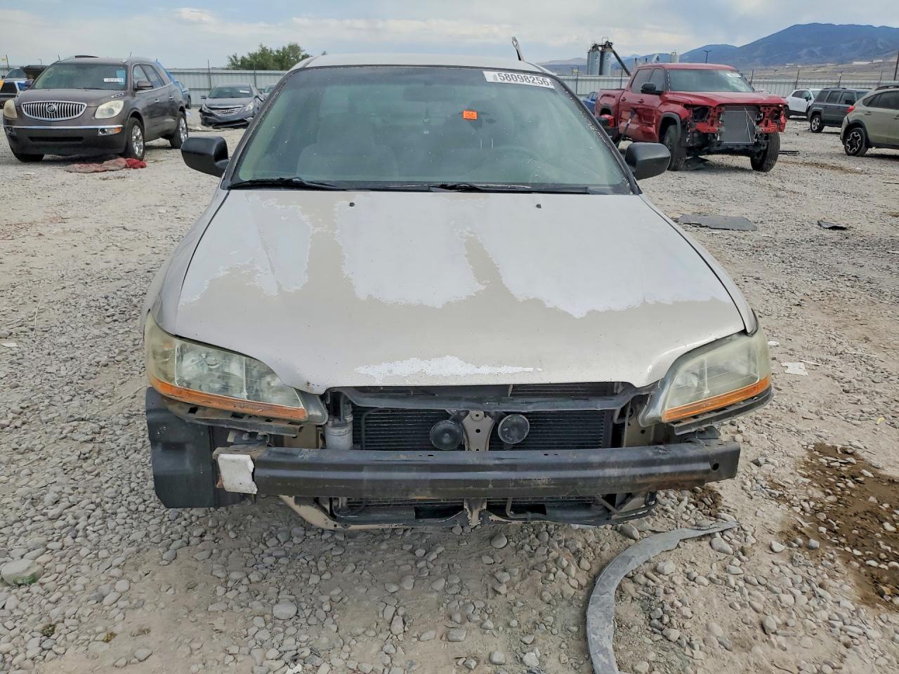 1999 Honda Accord Lx Tan vin: JHMCG6657XC028254