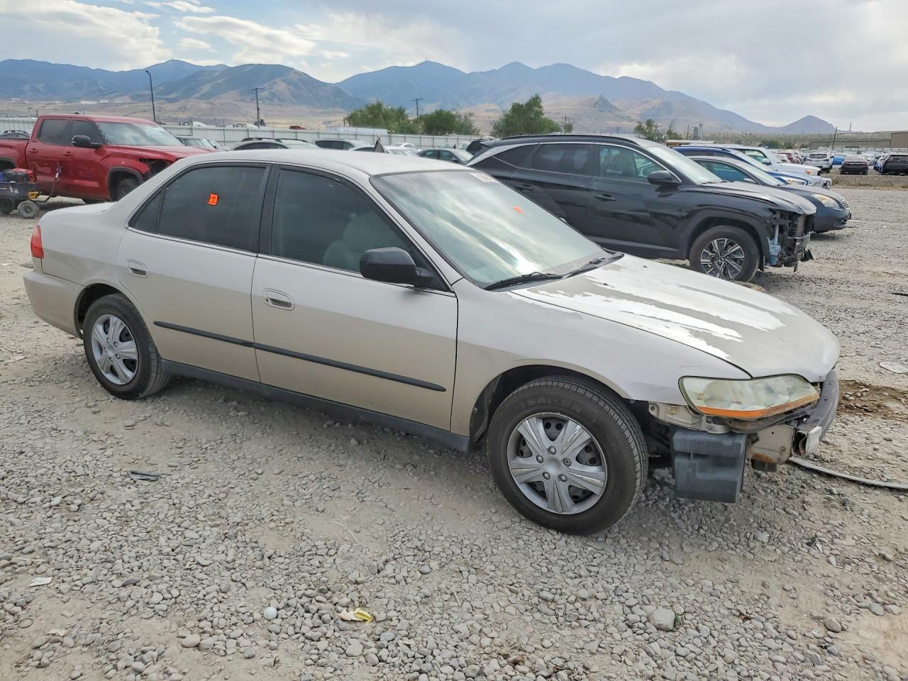 1999 Honda Accord Lx Tan vin: JHMCG6657XC028254