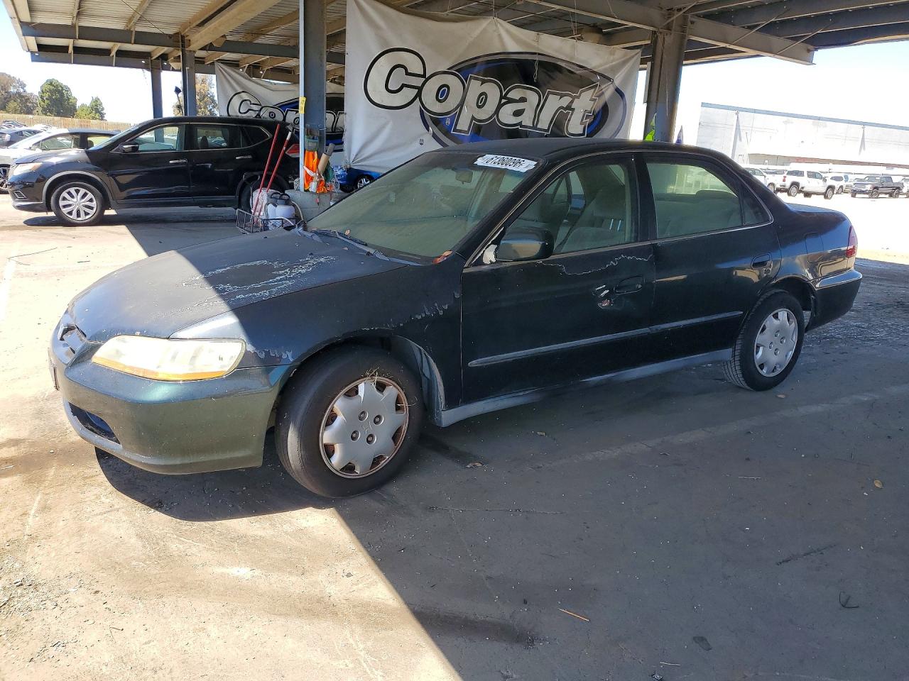 1999 Honda Accord Lx Green vin: JHMCG6658XC025587
