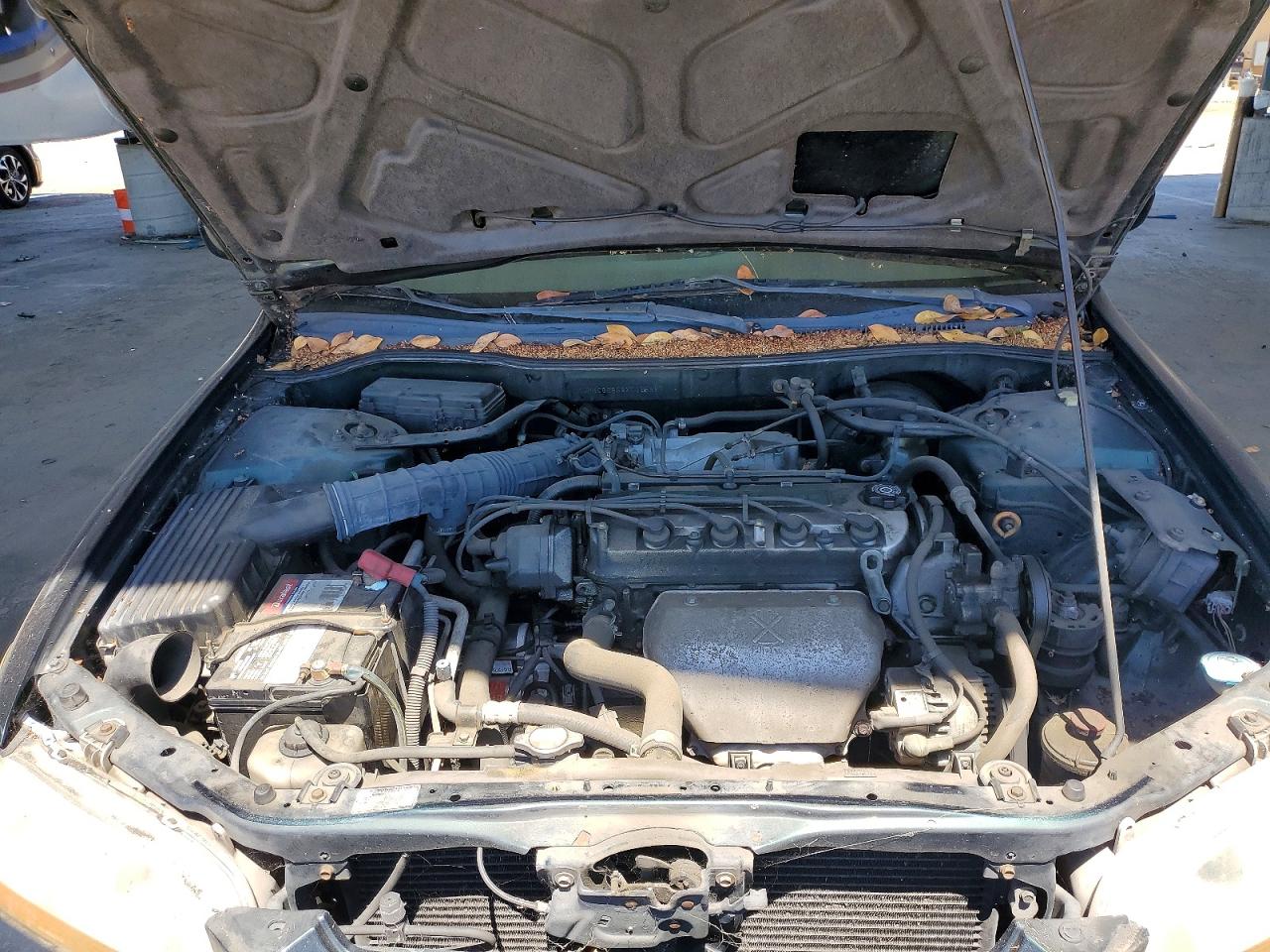 1999 Honda Accord Lx Green vin: JHMCG6658XC025587