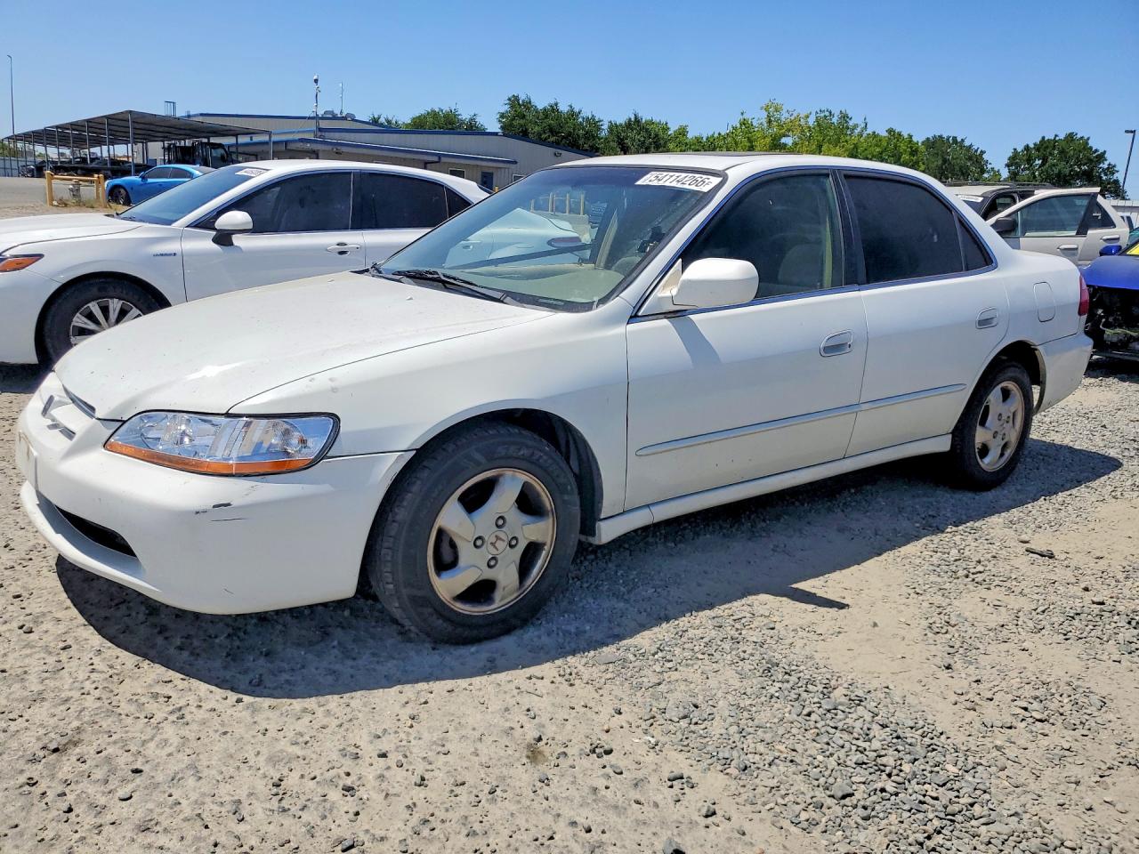1999 Honda Accord Ex White vin: JHMCG6670XC026539