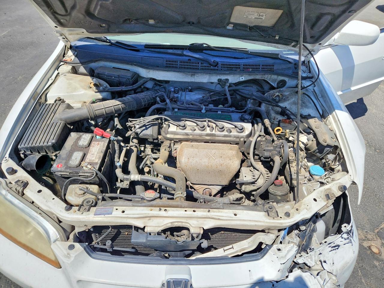 1999 Honda Accord Ex White vin: JHMCG6674XC011106
