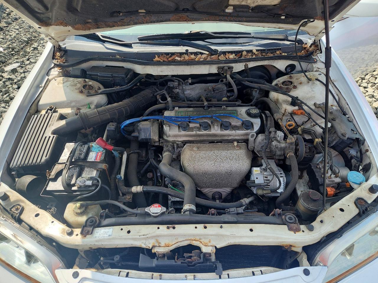2001 Honda Accord Ex White vin: JHMCG668X1C021106