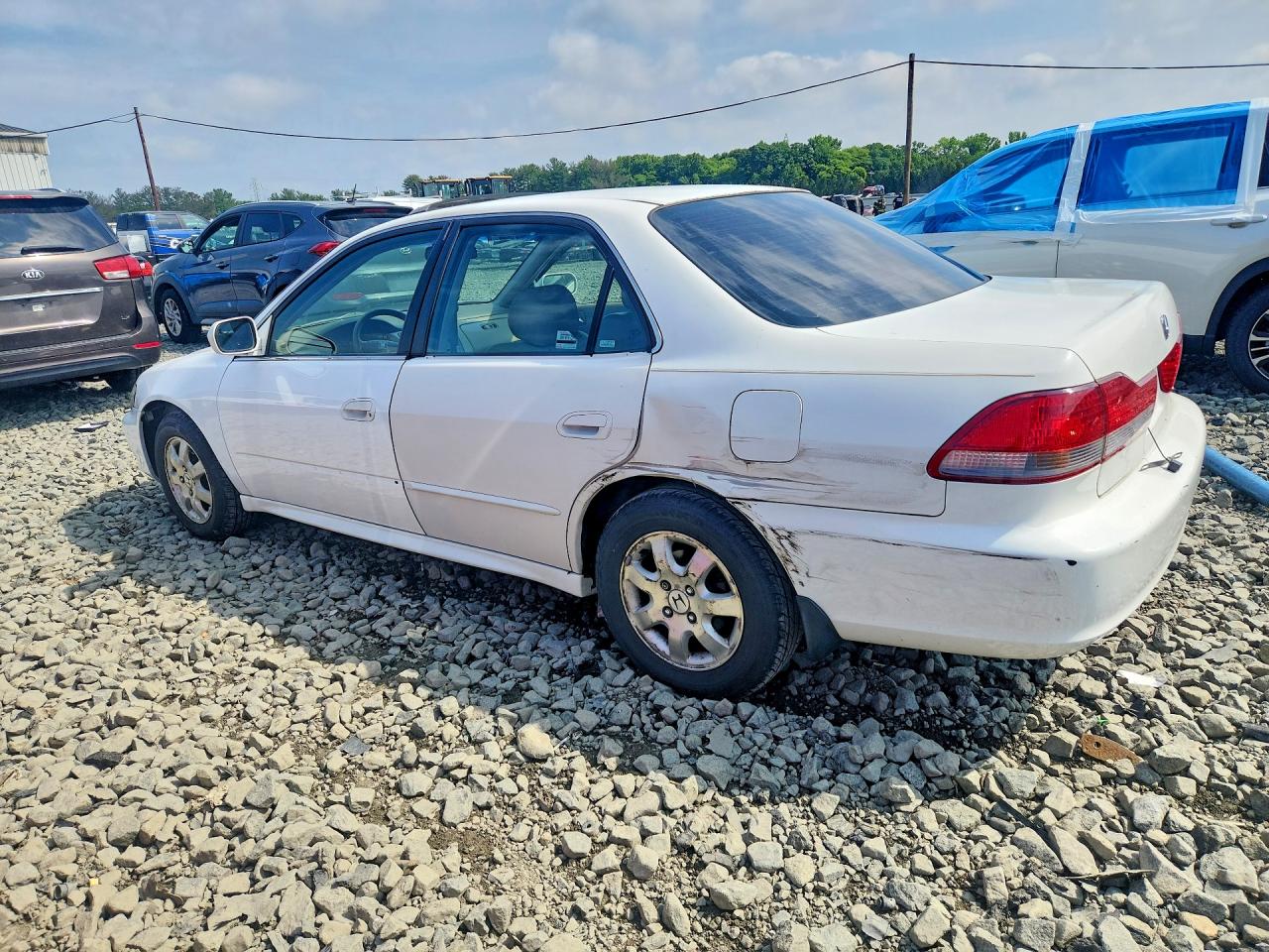 2001 Honda Accord Ex White vin: JHMCG668X1C021106