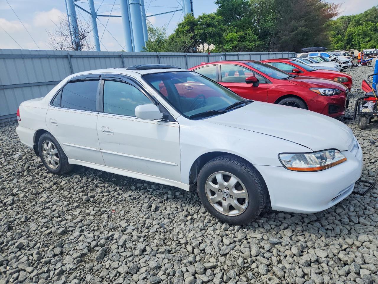 2001 Honda Accord Ex White vin: JHMCG668X1C021106
