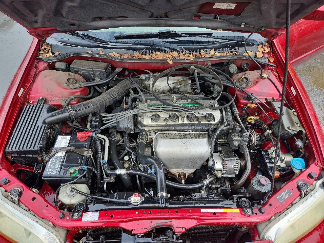 2000 Honda Accord Se Бордовый vin: JHMCG6691YC017819