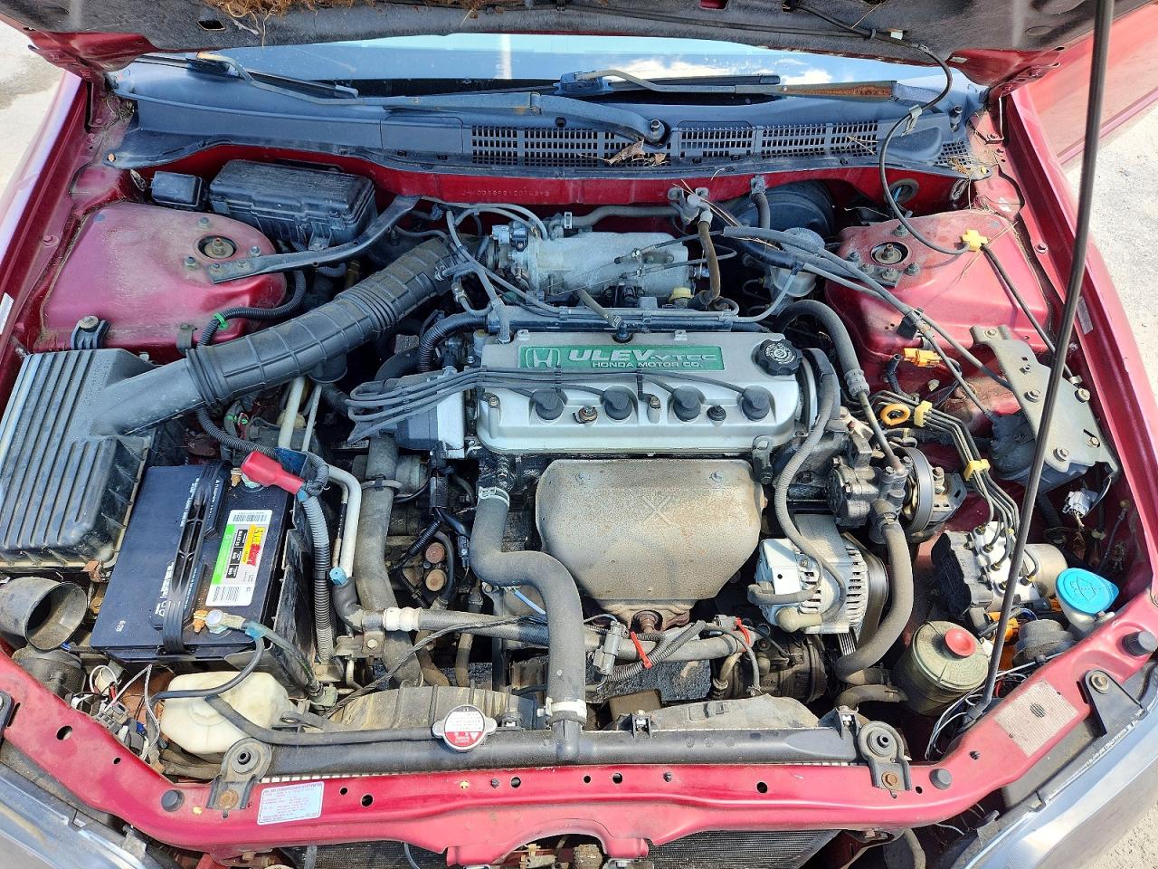 2000 Honda Accord Se Red vin: JHMCG6696YC014396