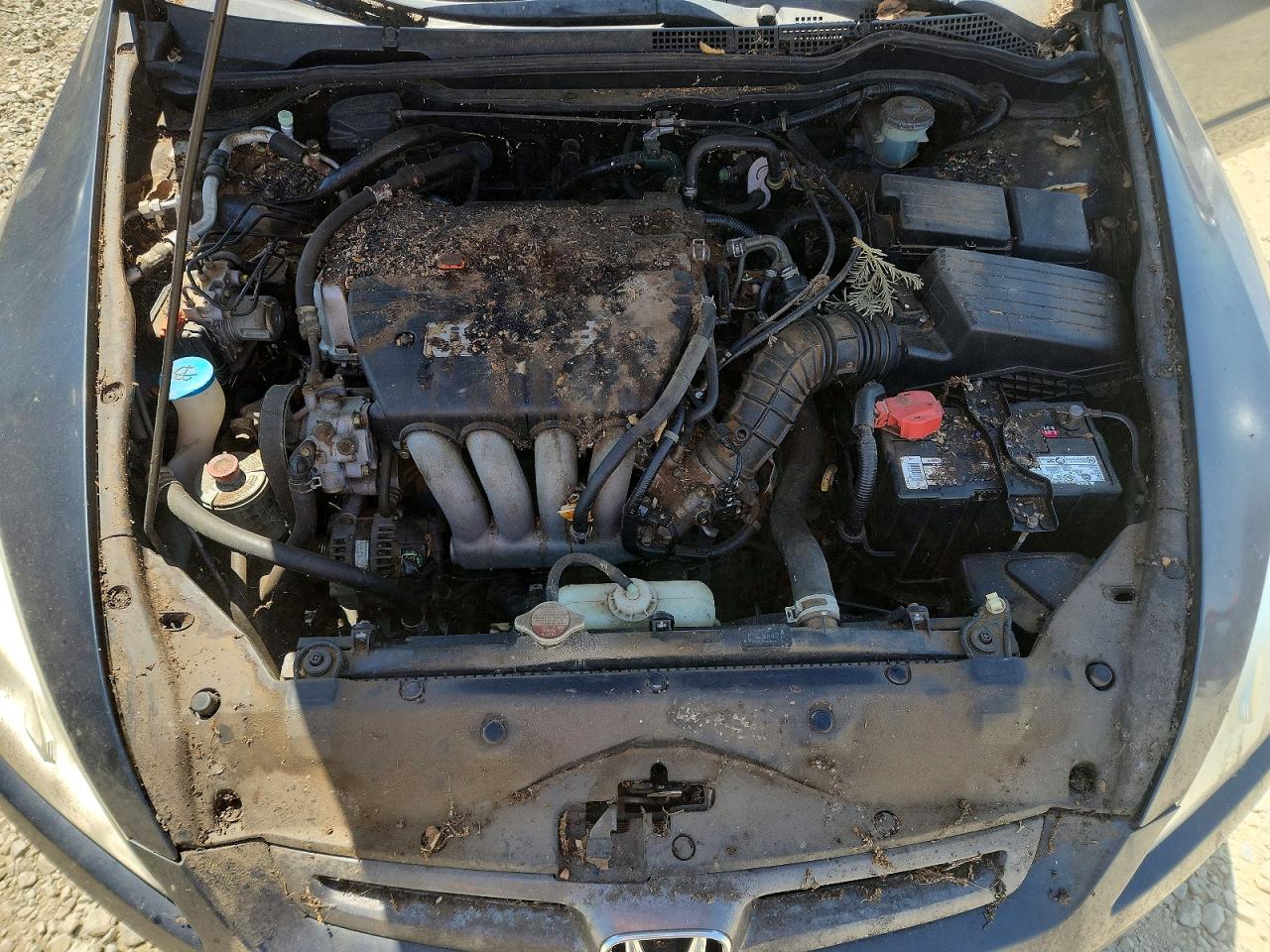 2003 Honda Accord Lx Gray vin: JHMCM56303C031055