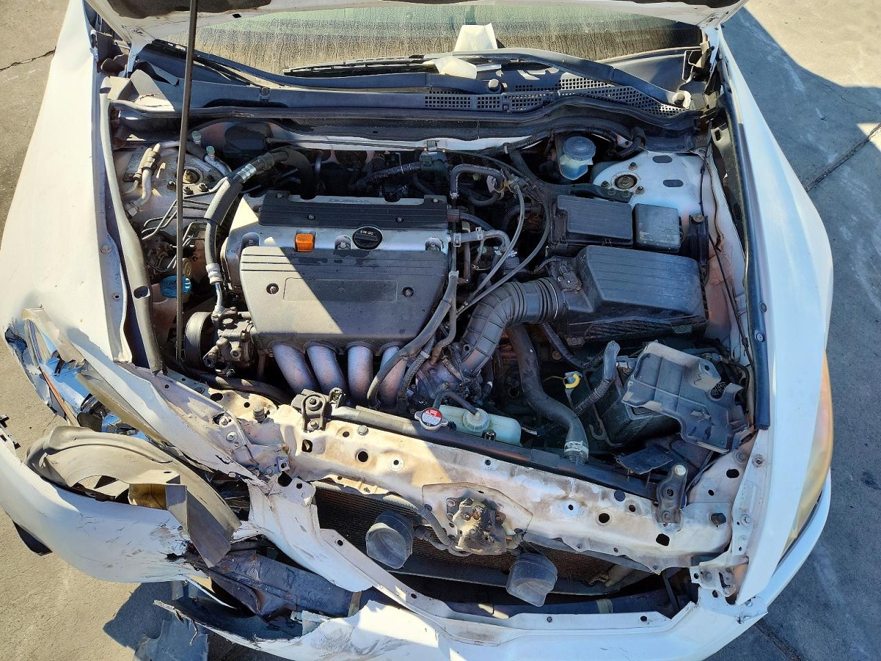 2003 Honda Accord Lx White vin: JHMCM56303C062466