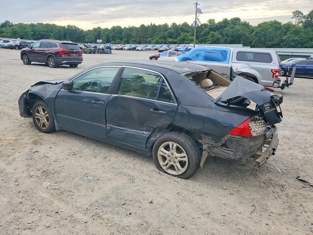 2007 Honda Accord Se Black vin: JHMCM56307C021244