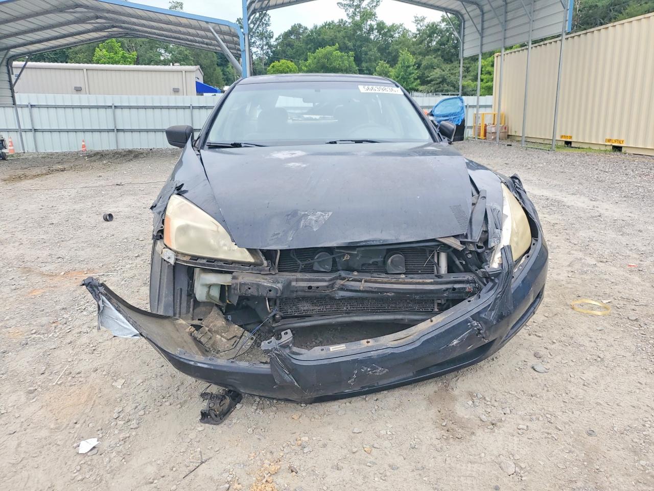 2007 Honda Accord Se Black vin: JHMCM56307C021244